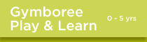 Gymboree Play and Learn